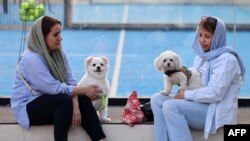 Parc din Teheran, 8 iunie 2025. Astfel de imagini ar putea deveni o raritate în Iran.