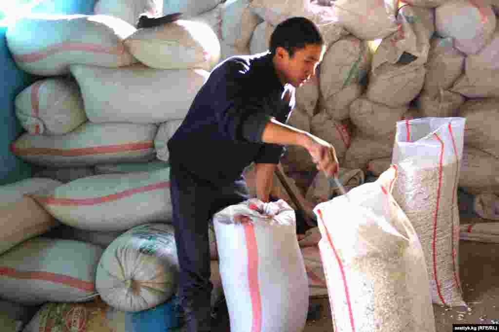 Аба ырайынын жакшы болушу төө буурчак түшүмүнүн арбын болушуна шарт түздү. &nbsp;