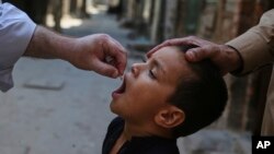 پاکستان لا هم تر اوسه د پولیو رنځ په له منځه وړلو کې نه دی بریالی شوی. 