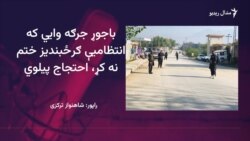 امنیتي ځواکونو په لوی ماموندو کې عملیاتو او کرفیو ته دوام ورکړی دی