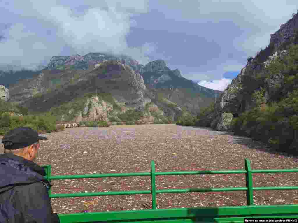 Otpad koji se sakuplja nizvodno na brani Hidroelektrane "Grabovica" na rijeci Neretvi, 8.10.2024.