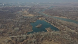 კრწანისის ტყე-პარკი