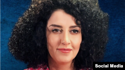 Наргиз Мохаммади.