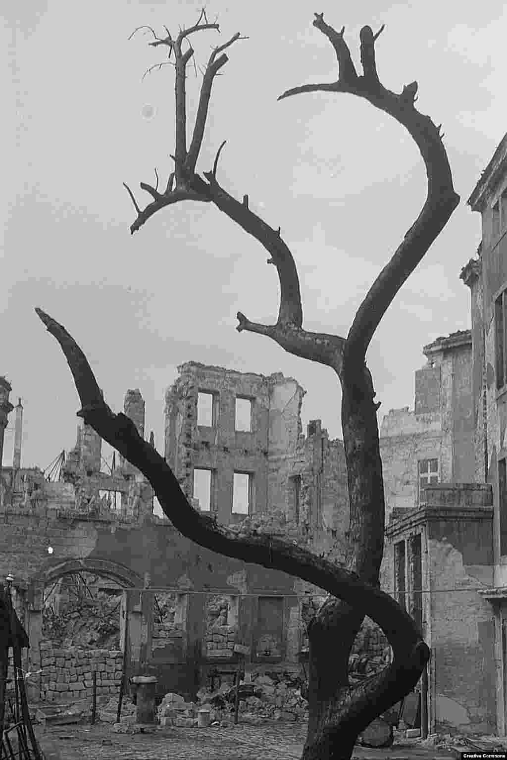 Prim-ministrul britanic Winston Churchill pare să fi avut remușcări de pe urma bombardamentelor&nbsp; spunând în martie 1945 că se pare că trebuie regândită strategia de a teroriza populația subminându-i moralul prin intermediul bombardamentelor.&nbsp; &nbsp;