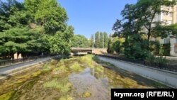 Обезвоженный и зарастающий растительностью Салгир в районе Центрального автовокзала Симферополя, июль 2025 года.