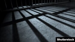 Иллюстративное фото 