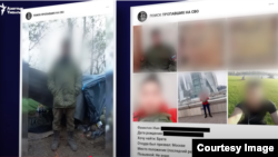 Согушка кеткен жакынын издегендердин тайпасынан сүрөт.