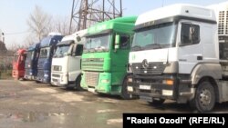 Illýustrasiýa suraty