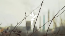 CET-urile din Bucuresti