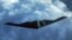 (FILES) This undated photo handout picture from the US Department of Defense shows a US B-2 bomber in flight at an undisclosed location.