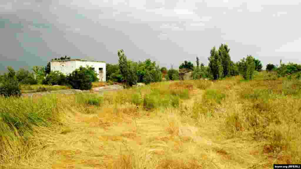 Трава шляхом до каналу&nbsp;&ndash; прим'ята. Судячи зі слідів, це були вантажівки або щось більше