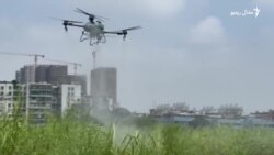 په چین کې د ماشو ختمولو لپاره له ډرونونو کار اخیستل کېږي