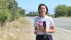 Чүйдө автокырсыктан он кишинин өмүрү кыйылды 