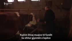 Fermerët sytë kah qeveria e re