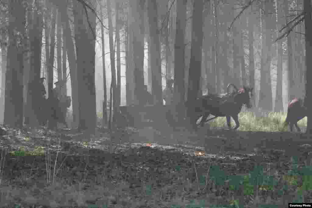 "Құнанбай" фильмінен көрініс. Шығыс Қазақстан облысы.16 тамыз 2014 жыл.&nbsp;