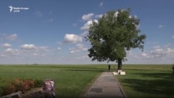 Tridhjetë vjet në kërkim të djalit