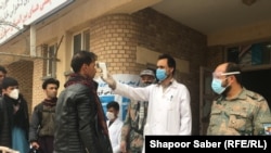 کارمند صحی هرات در حال معاینه تب یک افغانی که از ایران برگشته است.