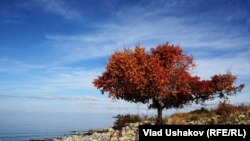 Ысык-Көлдүн тескей жээги.  