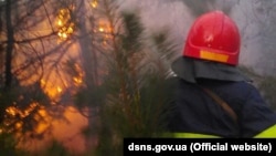 ДСНСники гасять пожежу, яка з трави перекинулася на дерева, 8 квітня 2020 року
