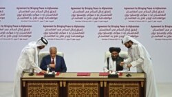 د افغان سولې لپاره د امریکا د ځانګړي استازي زلمي خلیل‌زاد او په قطر کې د طالبانو د سیاسي دفتر مشر ملا برادر