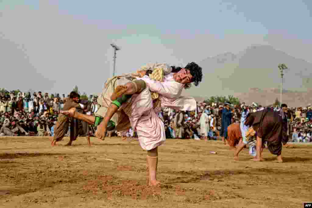Кандагар провинциясындагы Аргандаб районунда салттуу мелдеш учурунда күрөшүп жаткан ооган балбандары. 