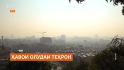 Ҳавои олудаи Теҳрон ҳаёти сокинонашро тоқатфарсо кардааст