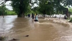 د نړیوالې تودوخې درجې لوړېدل د سېلابونو او ځنګلونو د اور لامل کېږي