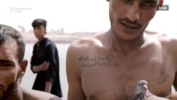 Ziyah Gafić: Na čaju s teroristima