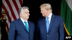 Прем'єр-міністр Угорщини Віктор Орбан і лідер Республіканської партії США, попередній американський президент Дональд Трамп. 8 березня 2024 року