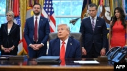 Президент Трамп и члены его кабинета