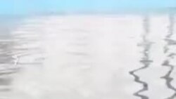 В узбекское село для телеэфира на один день завезли позаимствованных уток и рыб