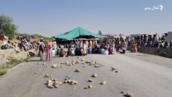 د شمالي وزيرستان کډوالو د مرستو د بحالۍ او کورونو ته د ستنېدو لپاره احتجاج ته دوام ورکړی